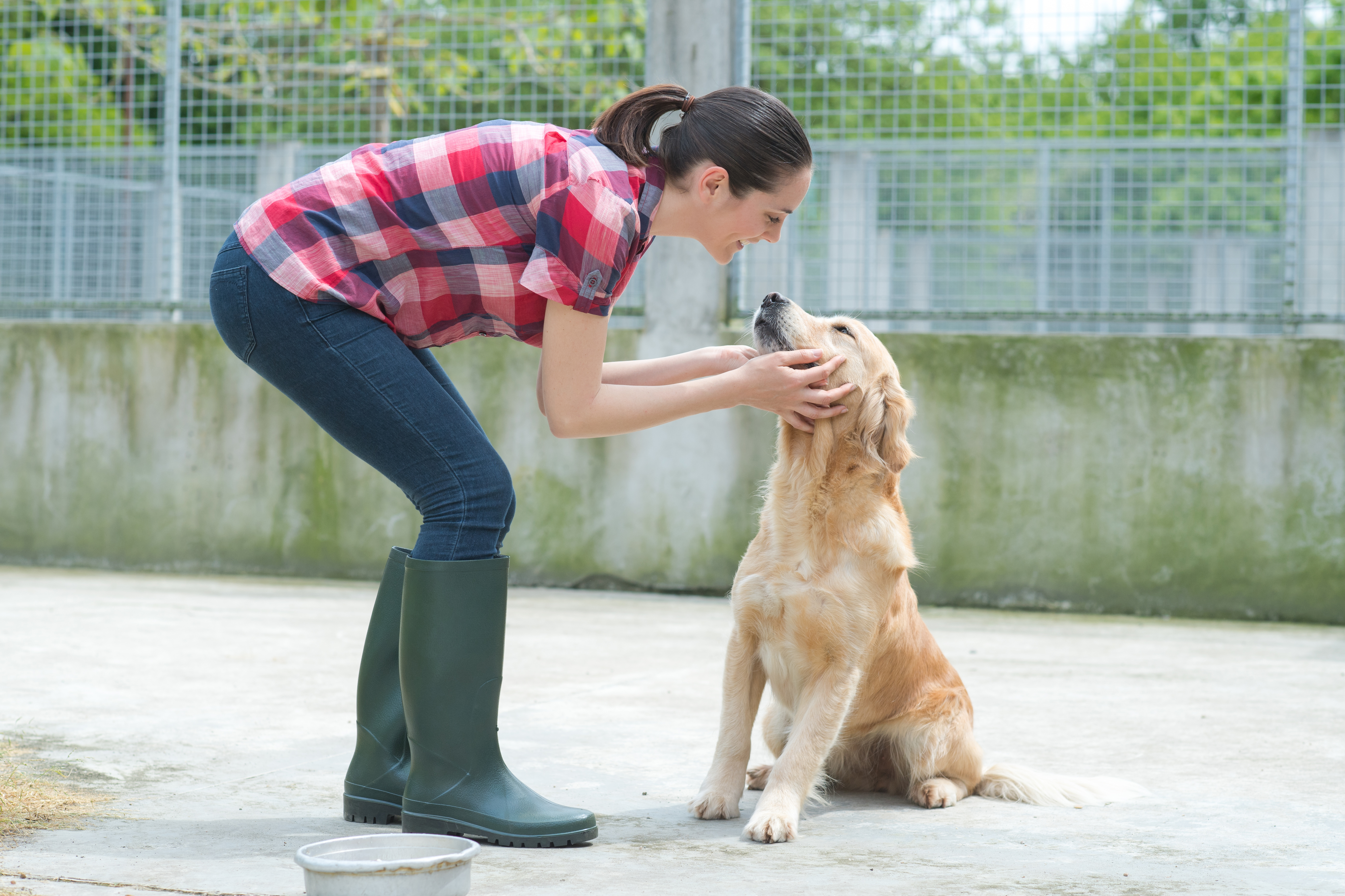 Association de protection des animaux