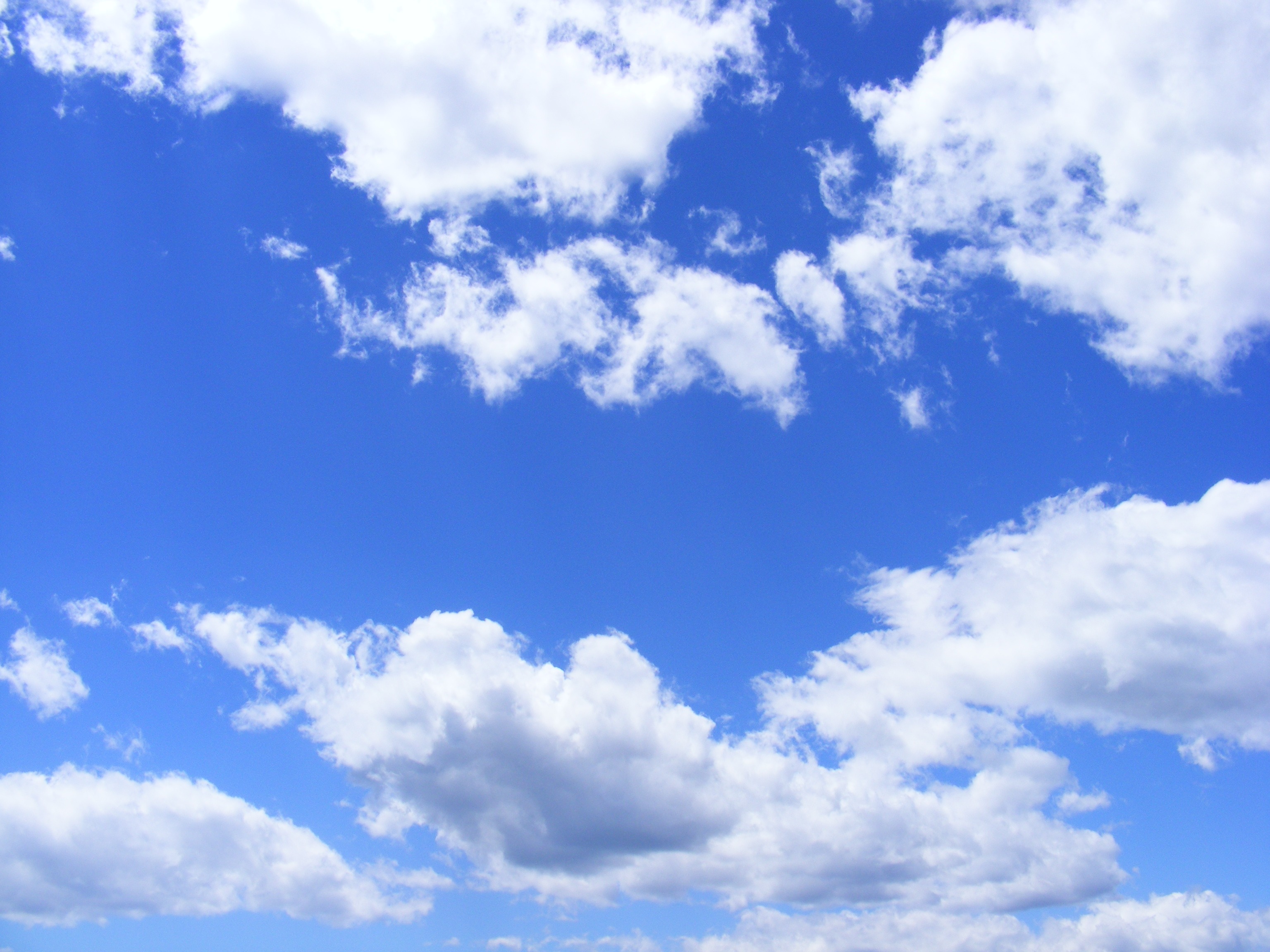 Oracle dévoile ses plans pour son activité NetSuite